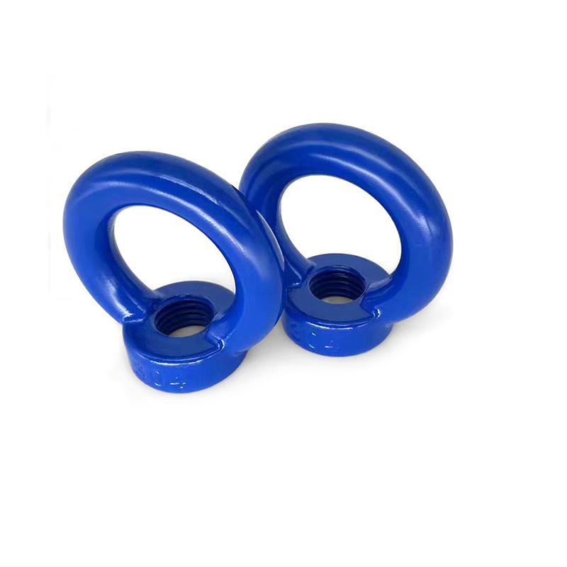 Lớp phủ Teflon DIN 582 Nâng mắt Nut Finished với bảo vệ rỉ sét cho các ứng dụng kỹ thuật hàng hải